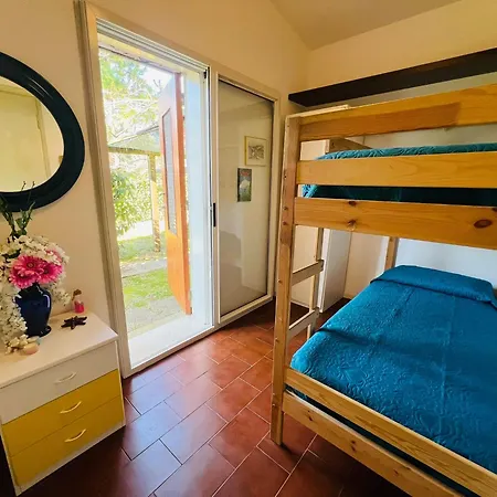 Pinocchia بيبيوني